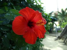 267421_10150256141424901_2064034_n